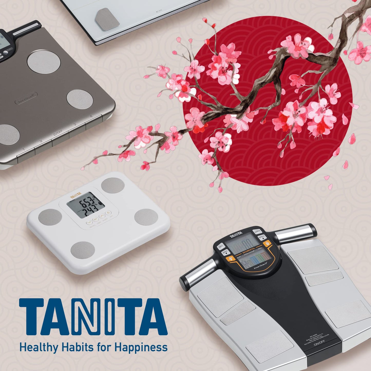 TANITA (BC-545N ) Segment Body Composition Scale: On-Screen Measurements