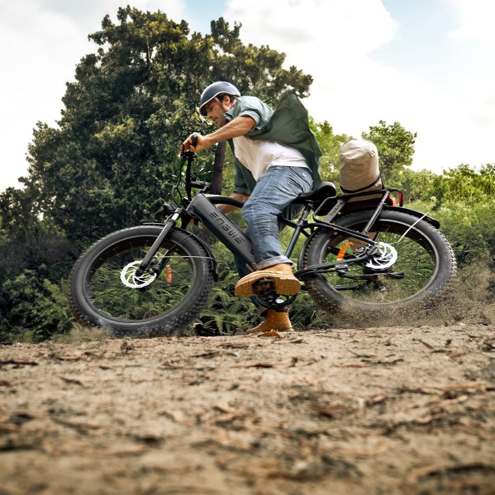 ENGWE E26 All-Terrain E-Bike: 250W, 48V, 16Ah battery, LCD, suspension fork &amp; 7-speed gears