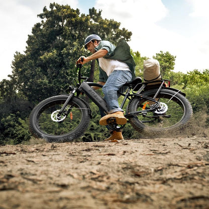 ENGWE E26 All-Terrain E-Bike: 250W, 48V, 16Ah battery, LCD, suspension fork &amp; 7-speed gears